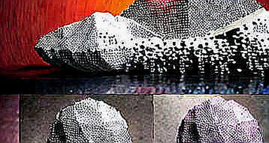 The Fake Model That Made a Market The Fake Model That Made a Market