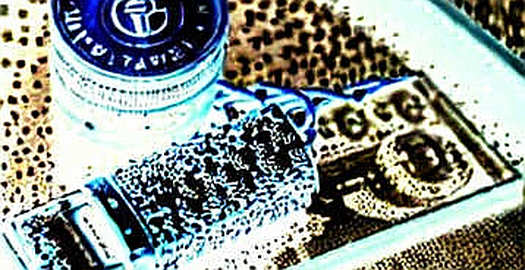 The Kraken-FIFA Pact: Tracing the Binary Decay in the Mainstream Hype The Kraken-FIFA Pact: Tracing the Binary Decay in the Mainstream Hype